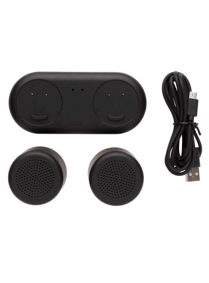 DOUBLE SPEAKER - Dvostruki zvučnici / Double induction charging speaker