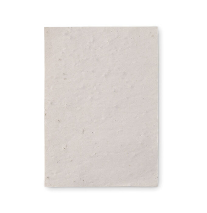 ASIDO - A6 list papira sa sjemenkama divljeg cvijeća / A6 wildflower seed paper sheet